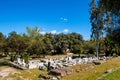 Panoramic view of ancient Athenian Agora archeological area with ruins of Metroon, Temple of Ares, Odeon of Agrippa and Gymnasium