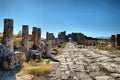 Panoramic view of the ancient Roman ruins of Hierapolis (Anatolia Turkey). Royalty Free Stock Photo