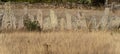 Slate wall separating crops, shallow depth of field