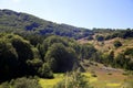 Panoramic view of the Apennine mountains, covered with green beech trees, Abruzzo, Italy