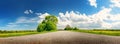 Panoramic view of the asphalt road with beautiful trees and with field of fresh green grass and dandelions.