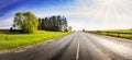 Panoramic view of the asphalt road with beautiful trees and with field of the fresh green grass and dandelions. Royalty Free Stock Photo