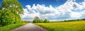 Panoramic view of the asphalt road with beautiful trees and with field of fresh green grass and dandelions. Royalty Free Stock Photo