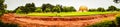 Panoramic view of Auroville is a universal city in the making in Puducherry, South India dedicated to the ideal of human unity whe Royalty Free Stock Photo