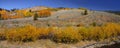 Autumn landscape in San Juan mountains, Colorado Royalty Free Stock Photo