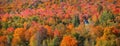 Panoramic view of autumn landscape in Vermont Royalty Free Stock Photo