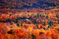 Panoramic view of autumn mountain Royalty Free Stock Photo