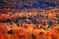 Panoramic view of autumn mountain