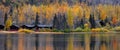 Panoramic view of Autumn trees and vacation cabins with reflections in the lake in Alaska Royalty Free Stock Photo