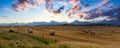 Panoramic View of Bales of Hay in a farm field. Royalty Free Stock Photo