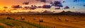 Panoramic View of Bales of Hay in a farm field. Royalty Free Stock Photo