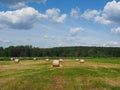 Panoramic view of the bales of straw lying after the harvest in the field