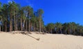 Panoramic view of the Baltic dunes, Balta kapa - Jurmala - Latvi Royalty Free Stock Photo