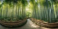 A panoramic view of a bamboo forest with benches, AI