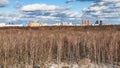 panoramic view of bare trees and last melting snow