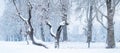 Panoramic view of bare trees in a snoww landscape. Woodland covered with snow. Snowy cold mornings Royalty Free Stock Photo