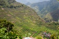 Panoramic view of the Batad rice field terraces in Ifugao province, Banaue, Philippines Royalty Free Stock Photo