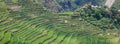 Panoramic view of the Batad rice field terraces, Ifugao province, Banaue, Philippines Royalty Free Stock Photo