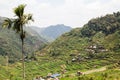 Panoramic view of the Batad rice field terraces, Ifugao province, Banaue, Philippines Royalty Free Stock Photo