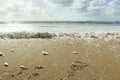 Panoramic view of the beach and the mud flat sea