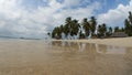 Panoramic view of a beach with palm trees and rustic huts reflected in the wet sand