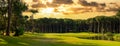 Panoramic view of a beautiful golf course with pine trees and dawn sky and clouds Royalty Free Stock Photo