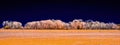 Panoramic View Of A Beautiful Grass-covered Field By The Line Of Trees Shot In Infrared