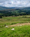 Forest of Bowland Lancashire UK