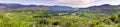 Panoramic view of beautiful green meadows and forests in Yosemite National Park, Sierra Nevada mountains, California Royalty Free Stock Photo