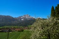 Panoramic view of beautiful landscape in the Alps Royalty Free Stock Photo