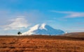 Panoramic view of a beautiful landscape with a wide expanse and a snow-capped mountain peak. Contrasting silhouette of a lonely Royalty Free Stock Photo