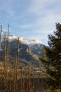 Panoramic view of a beautiful mountain range with lush trees. Royalty Free Stock Photo