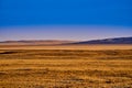 Panoramic view: beautiful spring landscape: spring huge great steppe wakes up from winter sleep - snow and ice just melted, sunset Royalty Free Stock Photo