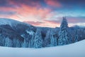 Panoramic view of beautiful winter wonderland mountain scenery in evening light at sunset. Mountains above the clouds. Christmas Royalty Free Stock Photo