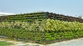 Panoramic view of the beauty of Nature Vertical Garden