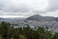 Panoramic view of Bergen from Floyen Mountain in August 2019. Trees in front of the city