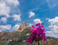 panoramic view of the Bernal rock with a flower during a day of blue sky with clouds