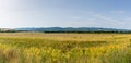 Panoramic view of the beveled fields. Royalty Free Stock Photo