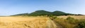 Panoramic view of the beveled fields. Royalty Free Stock Photo