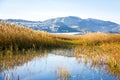 Panoramic view of a bird observatory, in the wetlands natural park La Marjal in Pego and Oliva