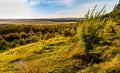 Bledowska Desert plateau bush, wooded and sandy landscape at Czubatka view point near Klucze in Lesser Poland