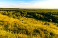 Bledowska Desert plateau bush, wooded and sandy landscape at Czubatka view point near Klucze in Lesser Poland