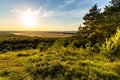 Bledowska Desert plateau bush, wooded and sandy landscape at Czubatka view point near Klucze in Lesser Poland