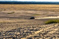 Bledowska Desert with sand buggy off-road vehicles extreme riding at Dabrowka view point near Chechlo in Lesser Poland