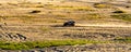 Bledowska Desert with sand buggy off-road vehicles extreme riding at Dabrowka view point near Chechlo in Lesser Poland