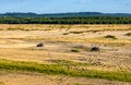 Bledowska Desert with sand buggy off-road vehicles extreme riding at Dabrowka view point near Chechlo in Lesser Poland