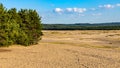 Bledowska Desert sand plateau dusty landscape with scarce vegetation at Dabrowka view point near Chechlo in