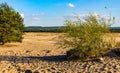 Bledowska Desert sand plateau dusty landscape with scarce vegetation at Dabrowka view point near Chechlo in