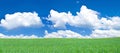 Panoramic view of blissful grassland Royalty Free Stock Photo