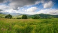 Panoramic view of the blooming flowers, summer meadow in the mountains and blue cloudy sky. Royalty Free Stock Photo